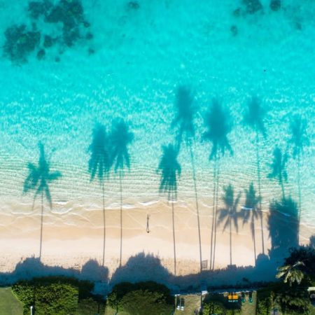 aerial-view-reflections-palm-trees-turquoise-water-sea (2)